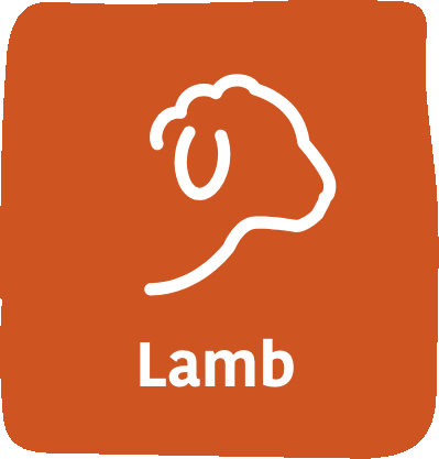 Excellent meat: beef and lamb